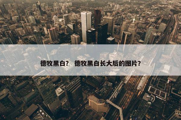 德牧黑白？ 德牧黑白长大后的图片？