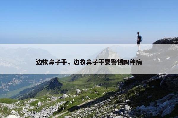 边牧鼻子干，边牧鼻子干要警惕四种病