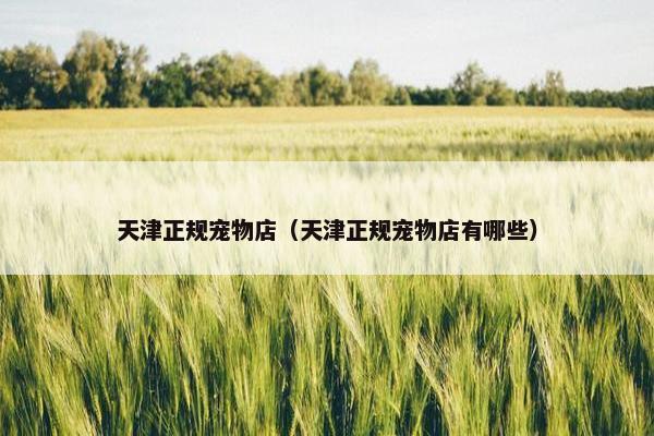 天津正规宠物店（天津正规宠物店有哪些）