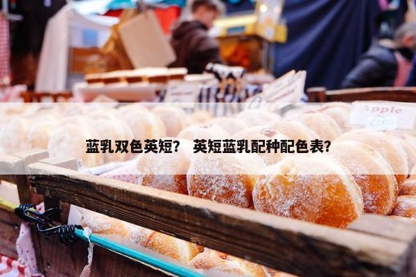 蓝乳双色英短？ 英短蓝乳配种配色表？