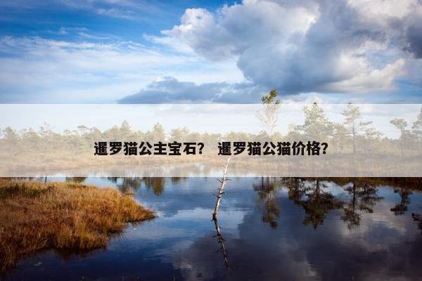 暹罗猫公主宝石？ 暹罗猫公猫价格？