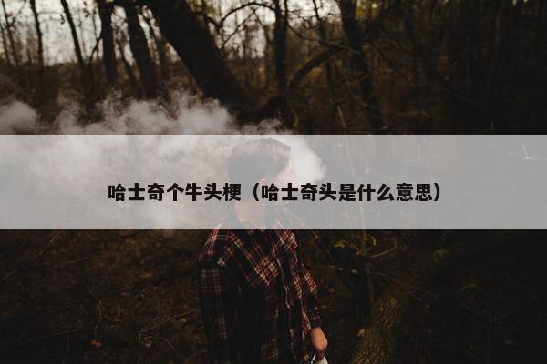 哈士奇个牛头梗（哈士奇头是什么意思）