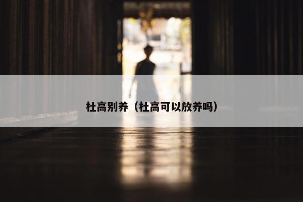 杜高别养（杜高可以放养吗）