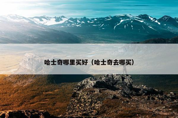哈士奇哪里买好（哈士奇去哪买）