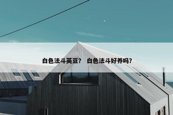 白色法斗英豆？ 白色法斗好养吗？