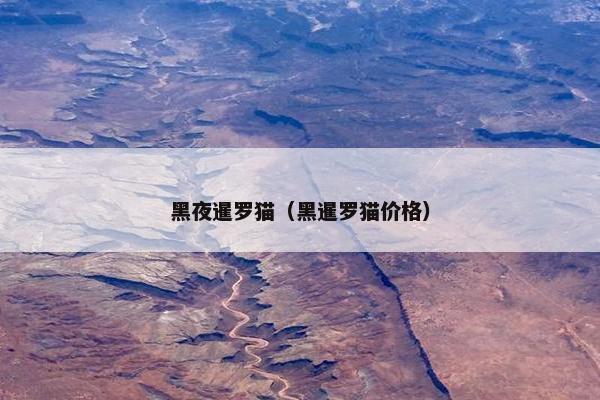 黑夜暹罗猫（黑暹罗猫价格）