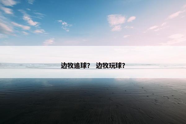边牧追球？ 边牧玩球？
