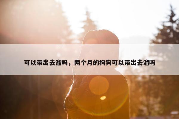 可以带出去溜吗，两个月的狗狗可以带出去溜吗
