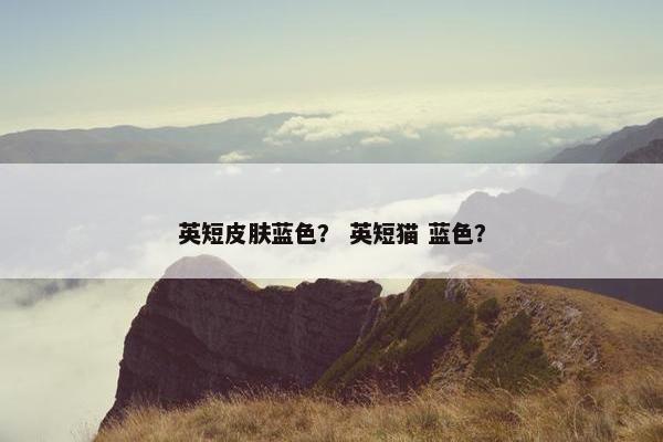 英短皮肤蓝色？ 英短猫 蓝色？
