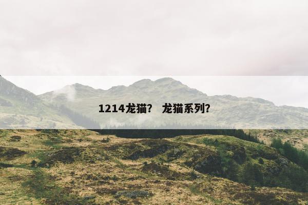 1214龙猫？ 龙猫系列？