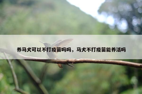养马犬可以不打疫苗吗吗，马犬不打疫苗能养活吗