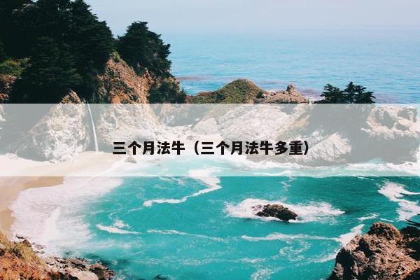 三个月法牛（三个月法牛多重）