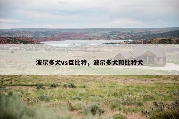 波尔多犬vs巨比特，波尔多犬和比特犬