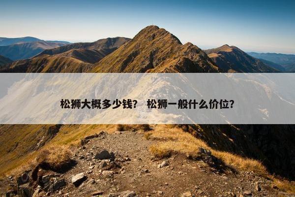 松狮大概多少钱？ 松狮一般什么价位？