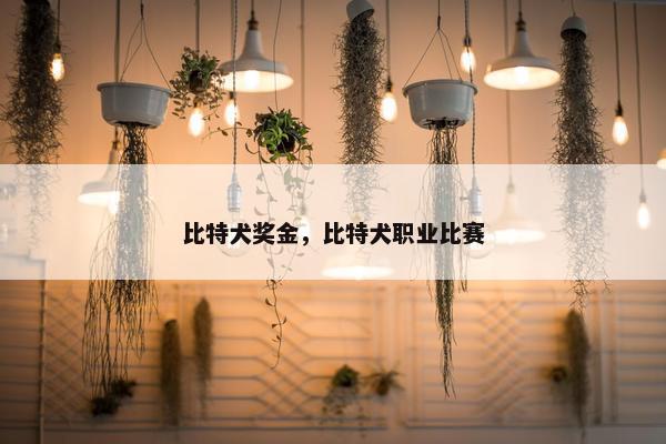 比特犬奖金，比特犬职业比赛