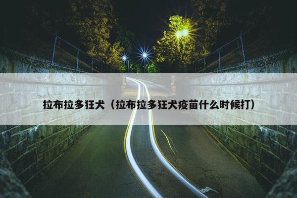 拉布拉多狂犬（拉布拉多狂犬疫苗什么时候打）