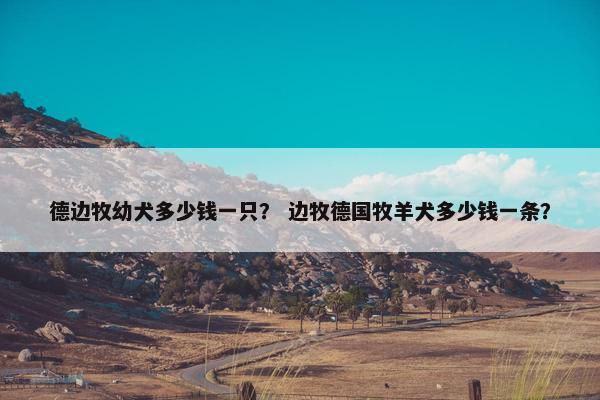 德边牧幼犬多少钱一只？ 边牧德国牧羊犬多少钱一条？