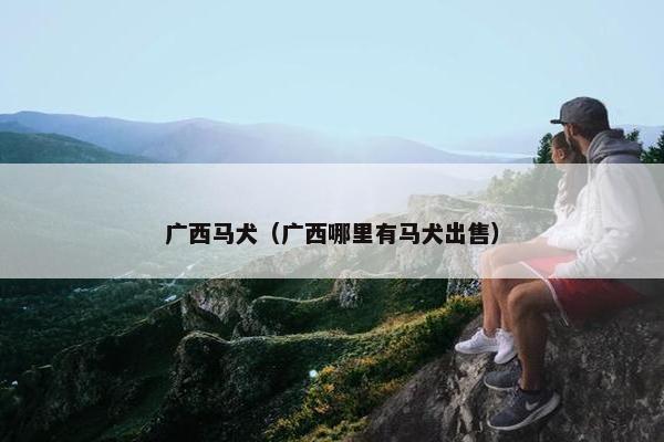广西马犬（广西哪里有马犬出售）
