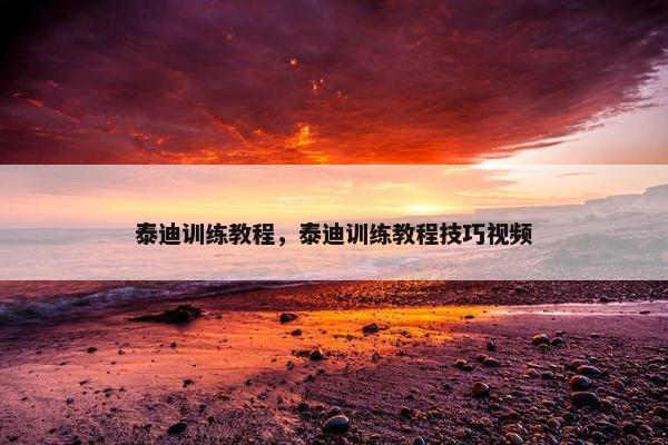 泰迪训练教程，泰迪训练教程技巧视频