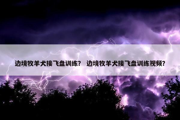 边境牧羊犬接飞盘训练？ 边境牧羊犬接飞盘训练视频？