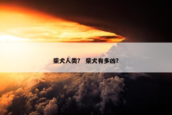柴犬人类？ 柴犬有多凶？