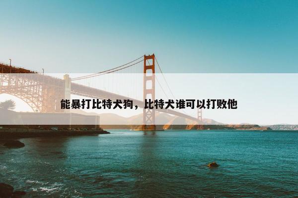 能暴打比特犬狗，比特犬谁可以打败他