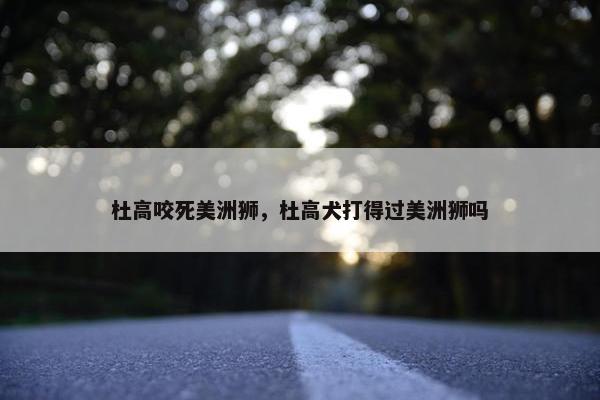 杜高咬死美洲狮，杜高犬打得过美洲狮吗