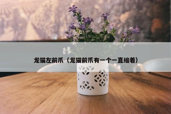 龙猫左前爪（龙猫前爪有一个一直缩着）