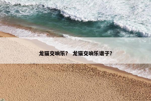 龙猫交响乐？ 龙猫交响乐谱子？