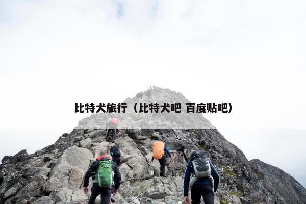 比特犬旅行（比特犬吧 百度贴吧）