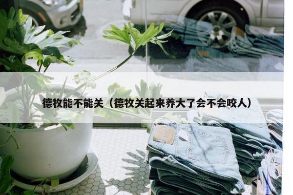 德牧能不能关（德牧关起来养大了会不会咬人）