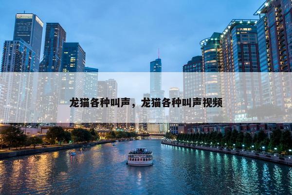 龙猫各种叫声，龙猫各种叫声视频