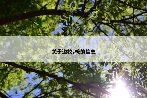 关于边牧s桩的信息