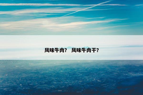 风味牛肉？ 风味牛肉干？