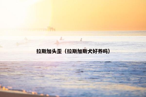 拉斯加头歪（拉斯加斯犬好养吗）