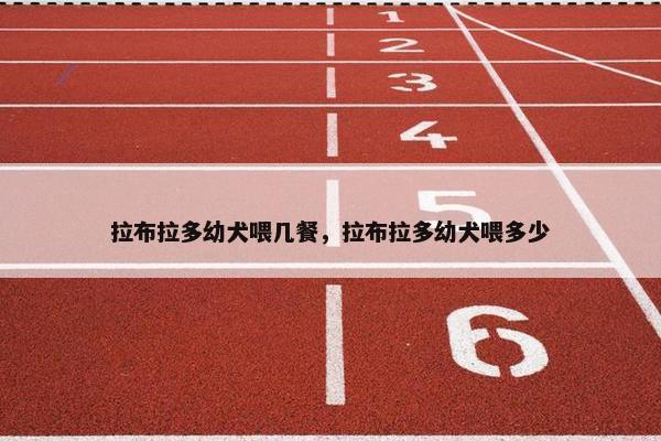 拉布拉多幼犬喂几餐，拉布拉多幼犬喂多少