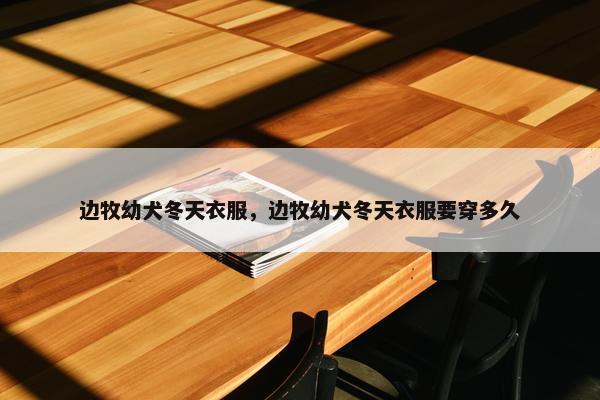 边牧幼犬冬天衣服，边牧幼犬冬天衣服要穿多久