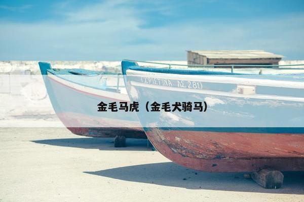 金毛马虎（金毛犬骑马）