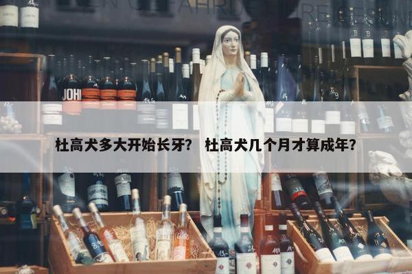 杜高犬多大开始长牙？ 杜高犬几个月才算成年？