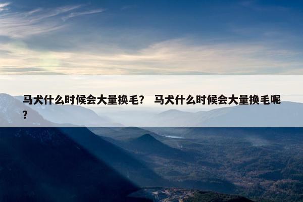 马犬什么时候会大量换毛？ 马犬什么时候会大量换毛呢？