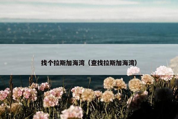 找个拉斯加海湾（查找拉斯加海湾）