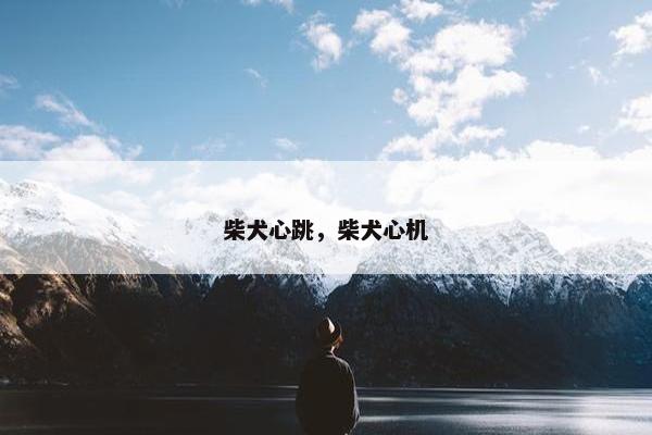 柴犬心跳，柴犬心机