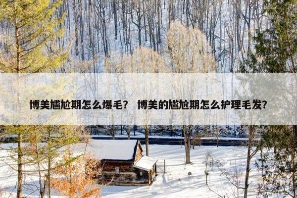 博美尴尬期怎么爆毛？ 博美的尴尬期怎么护理毛发？