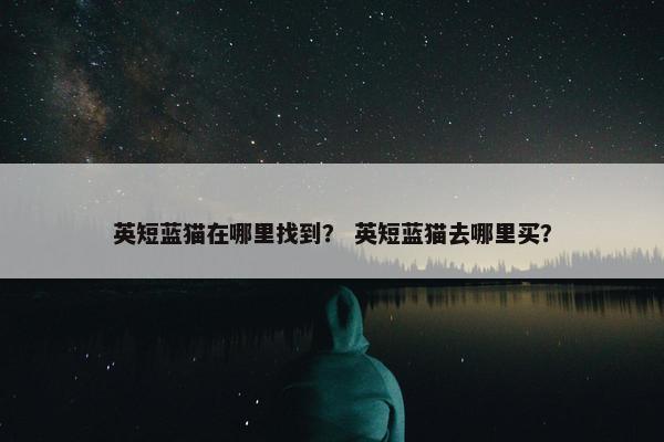 英短蓝猫在哪里找到？ 英短蓝猫去哪里买？