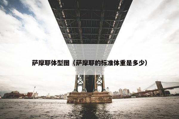 萨摩耶体型图（萨摩耶的标准体重是多少）