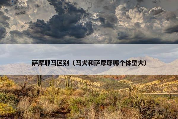 萨摩耶马区别（马犬和萨摩耶哪个体型大）