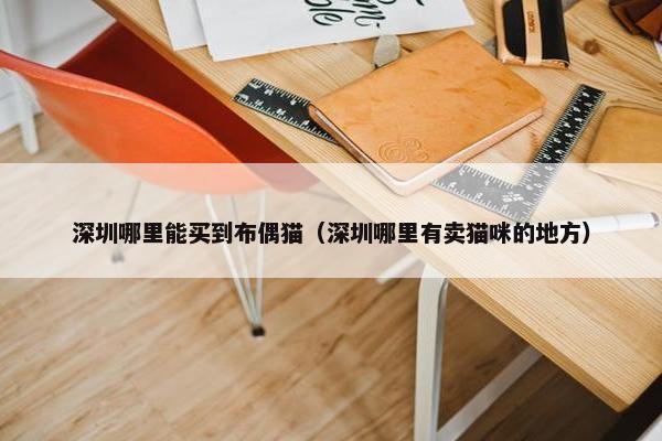 深圳哪里能买到布偶猫（深圳哪里有卖猫咪的地方）