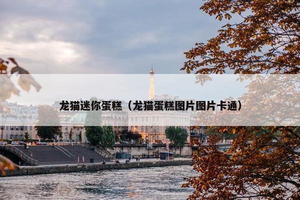 龙猫迷你蛋糕（龙猫蛋糕图片图片卡通）