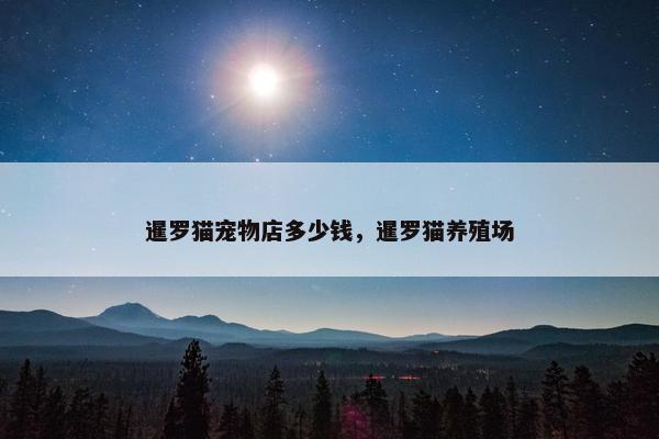暹罗猫宠物店多少钱，暹罗猫养殖场