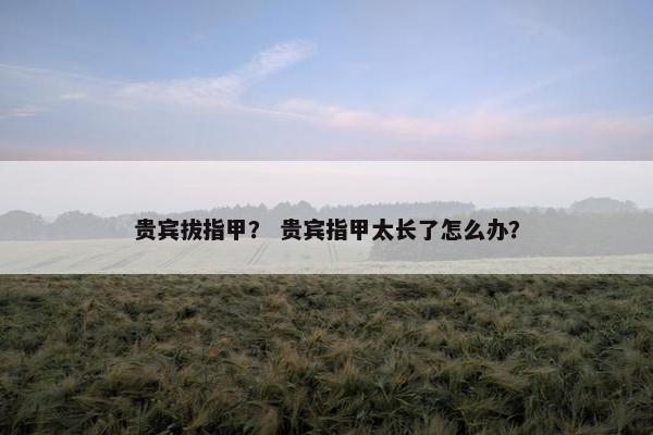 贵宾拔指甲？ 贵宾指甲太长了怎么办？
